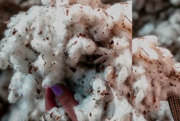 Colombia impulsa la moda circular con biomateriales