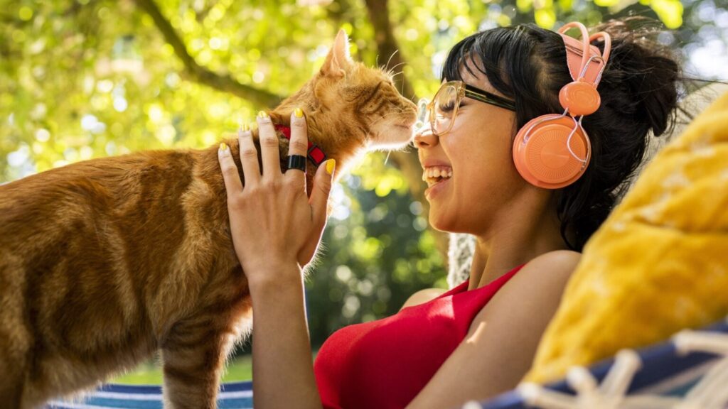 Claves para proteger la salud de los gatos en Colombia